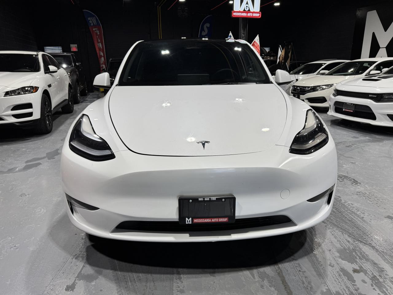 2023 Tesla Model Y RWD STANDARD RANGE Photo