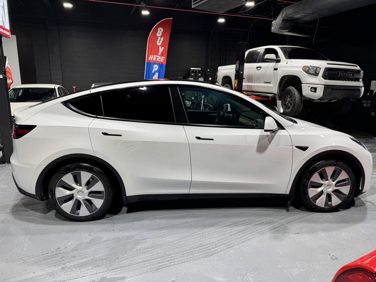 2023 Tesla Model Y RWD STANDARD RANGE Photo