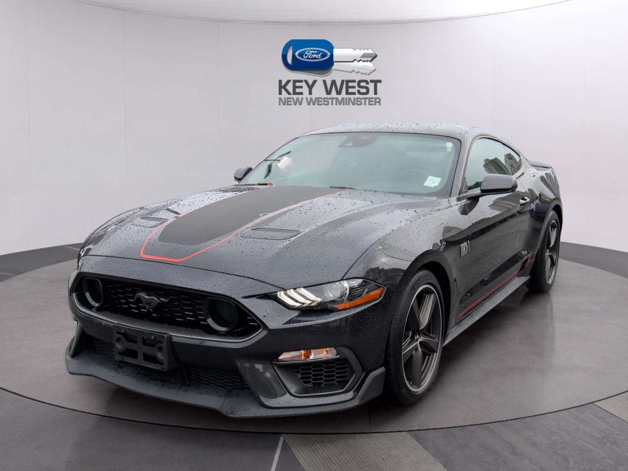 2023 Ford Mustang MACH 1 FASTBACK Photo1