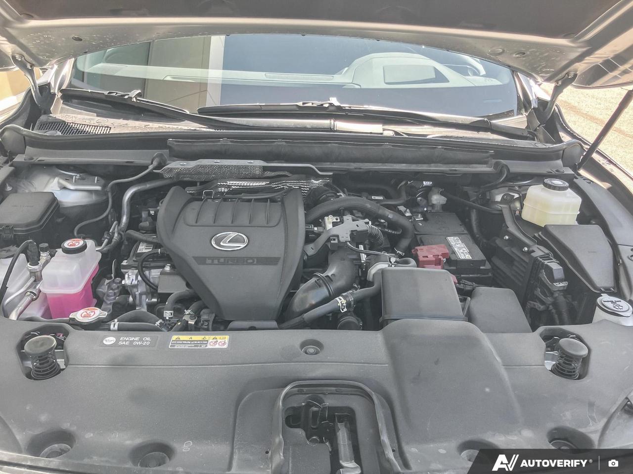 13550243