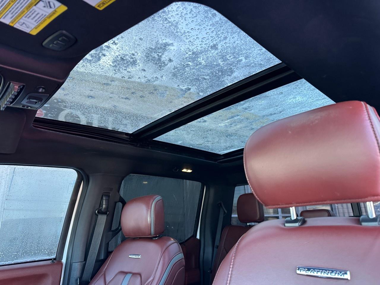 2018 Ford F-250 Super Duty SRW PLATINUM 4WD CREW CAB 6.75' BOX Photo