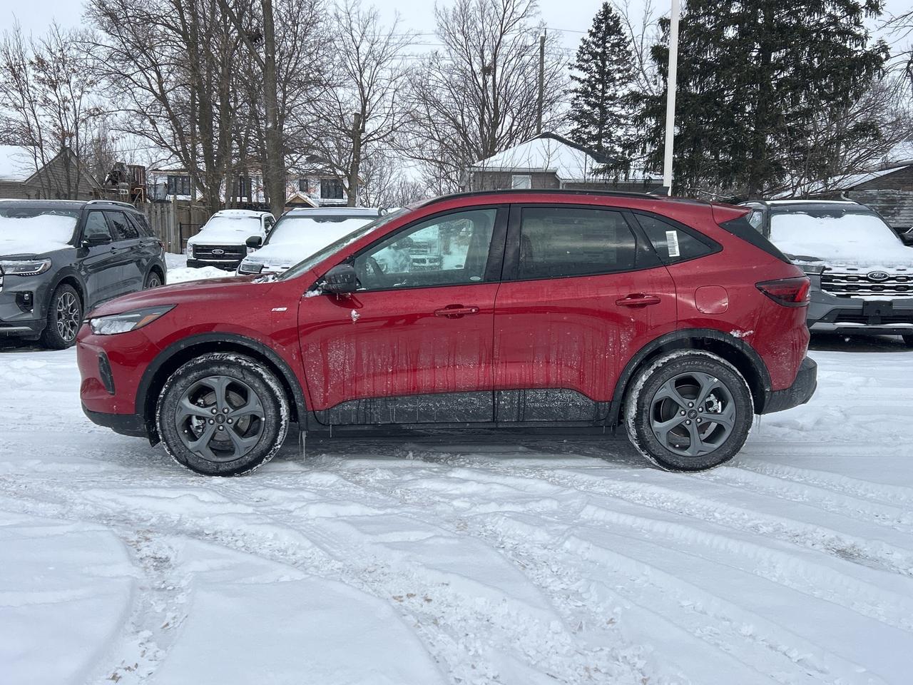 2025 Ford Escape ST-Line AWD Photo