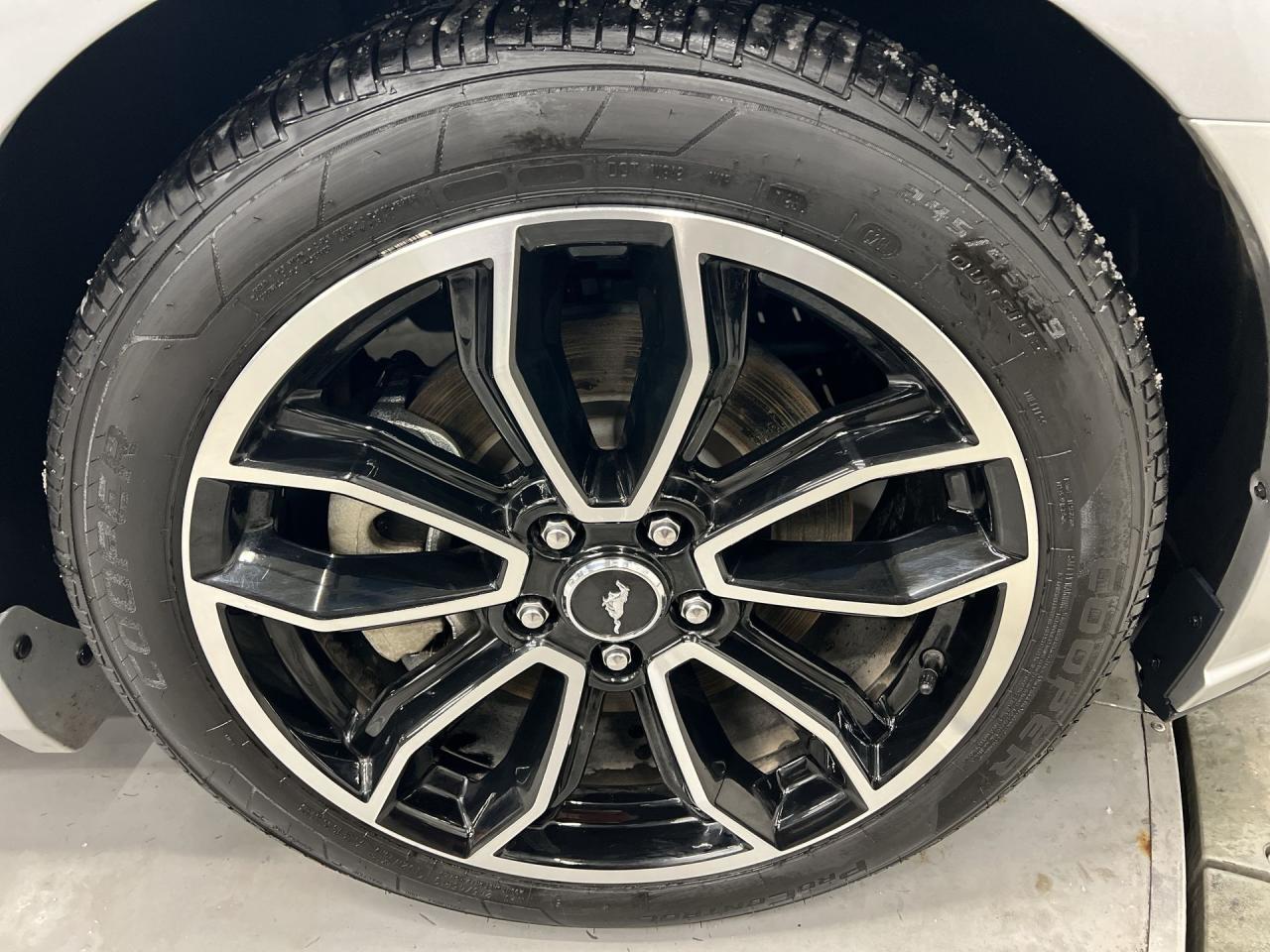 2013 Ford Mustang GT | ONLY 14,000KMS! | 412HP 5.0L | RED LEATHER Photo