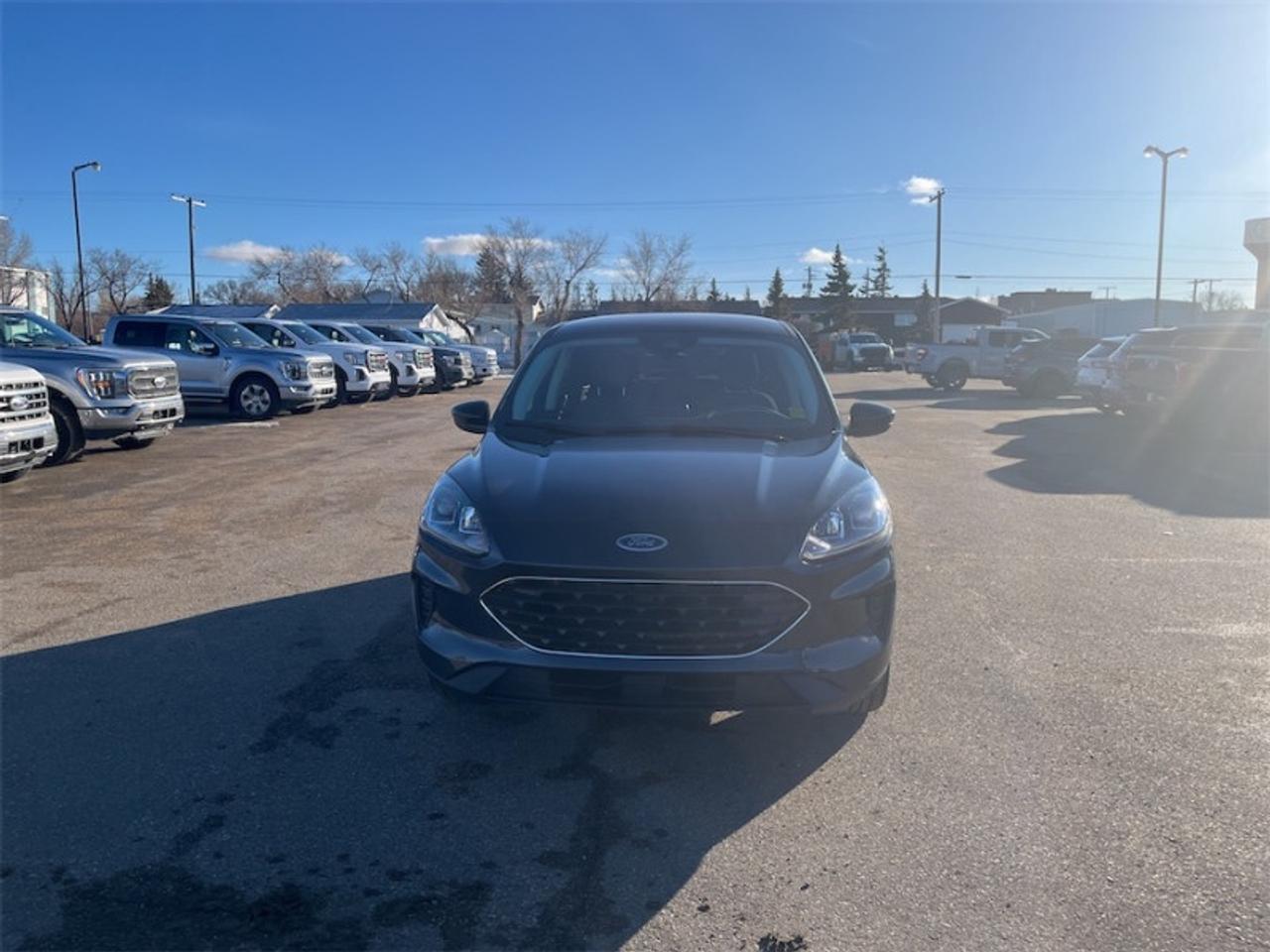 2022 Ford Escape - Low Mileage Photo3