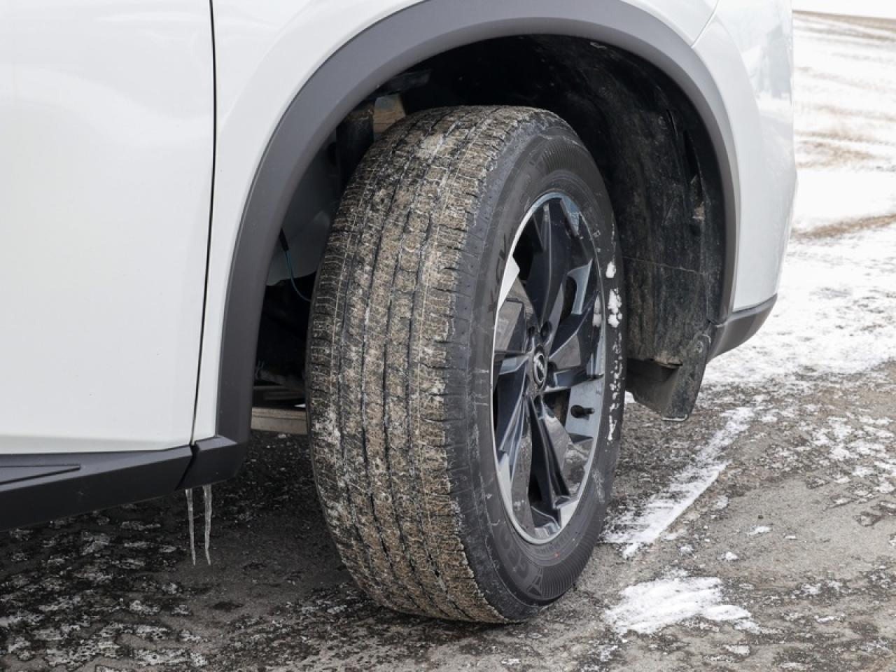 2024 Nissan Rogue SV Moonroof  - $192 B/W Photo