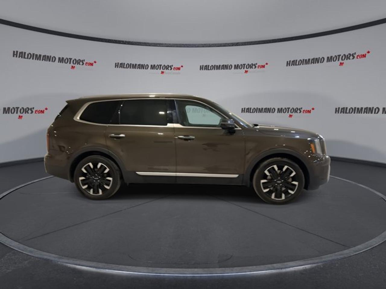 2023 Kia Telluride SX AWD | 360 Camera | Leather Seats | Remote Start | Panoramic Roof Photo