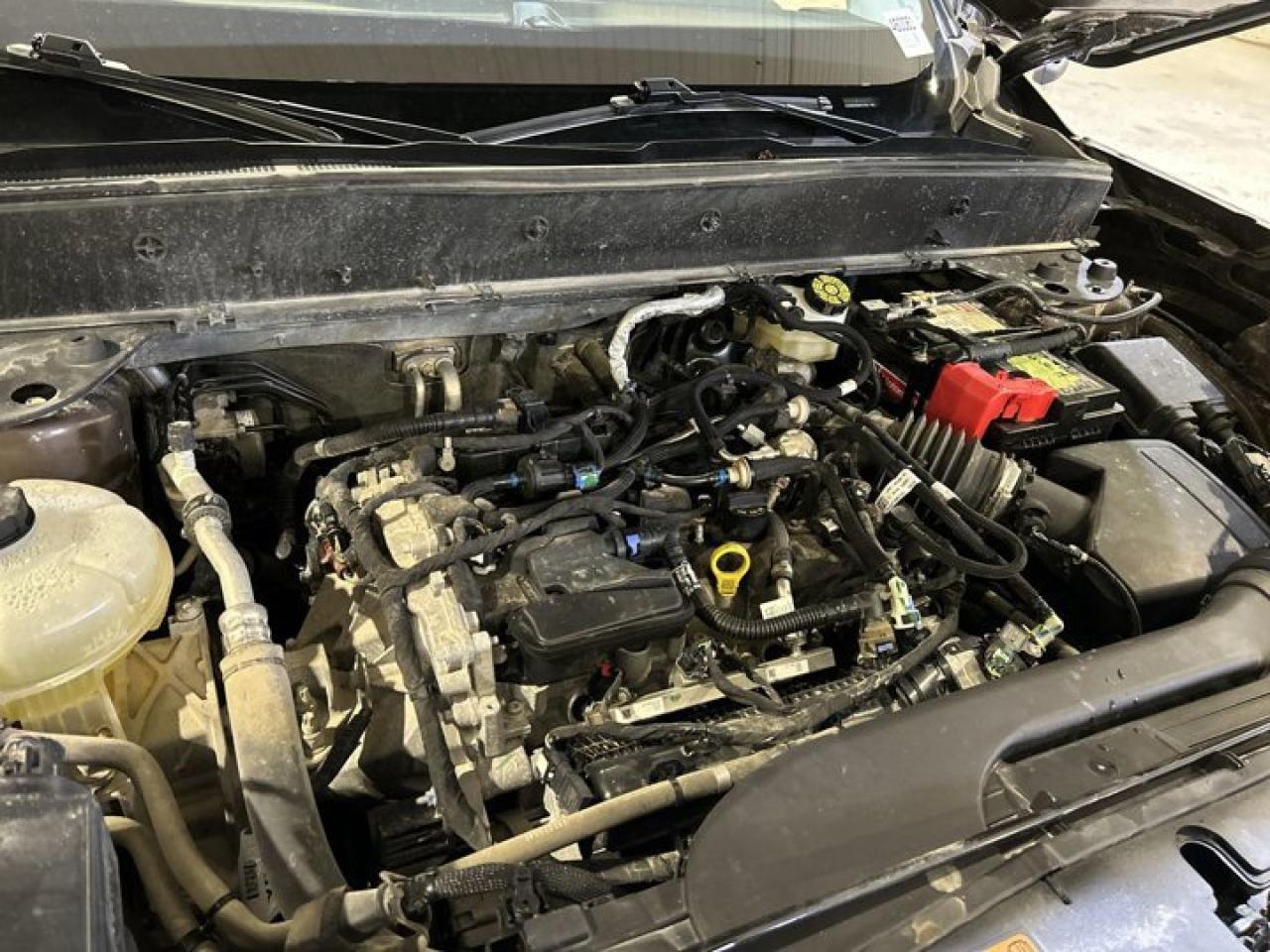 2022 Ford Bronco Sport Big Bend Photo