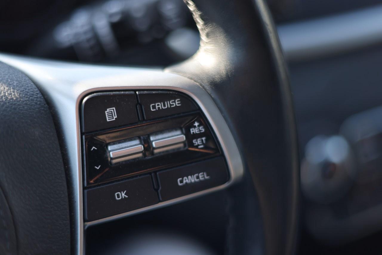 2019 Kia Sorento  Photo