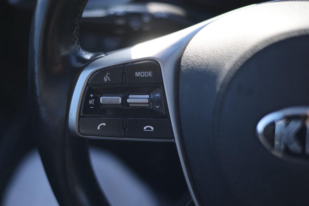 2019 Kia Sorento  Photo