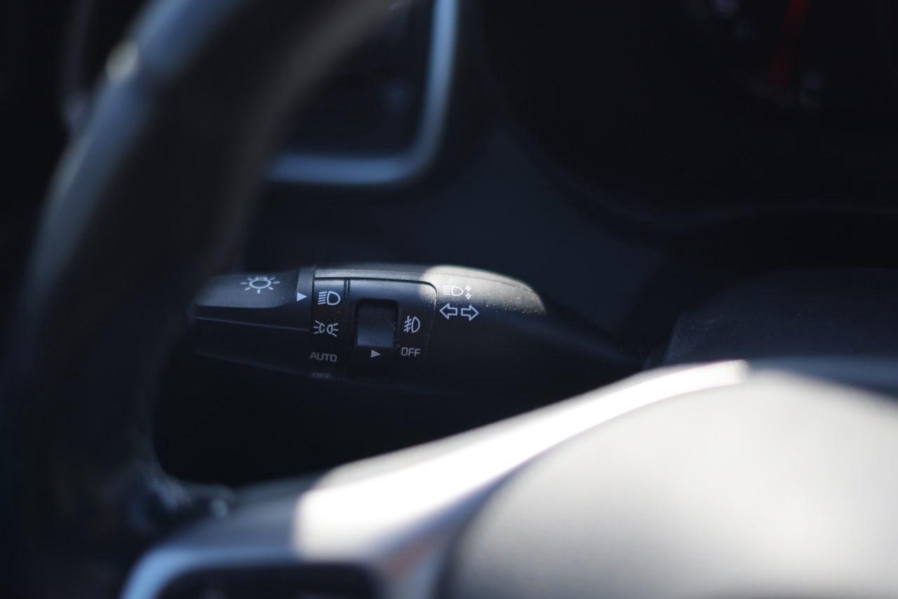 2019 Kia Sorento  Photo