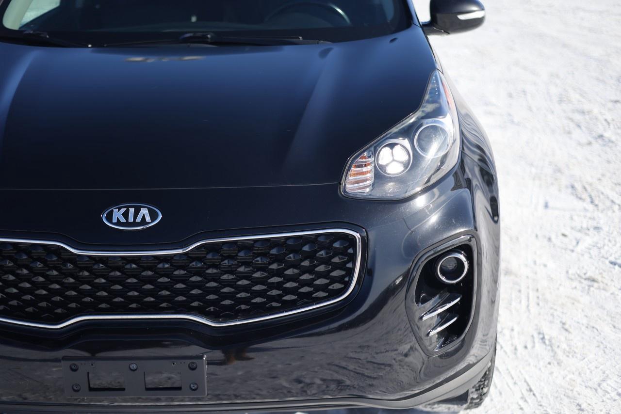 2019 Kia Sportage EX AWD Photo