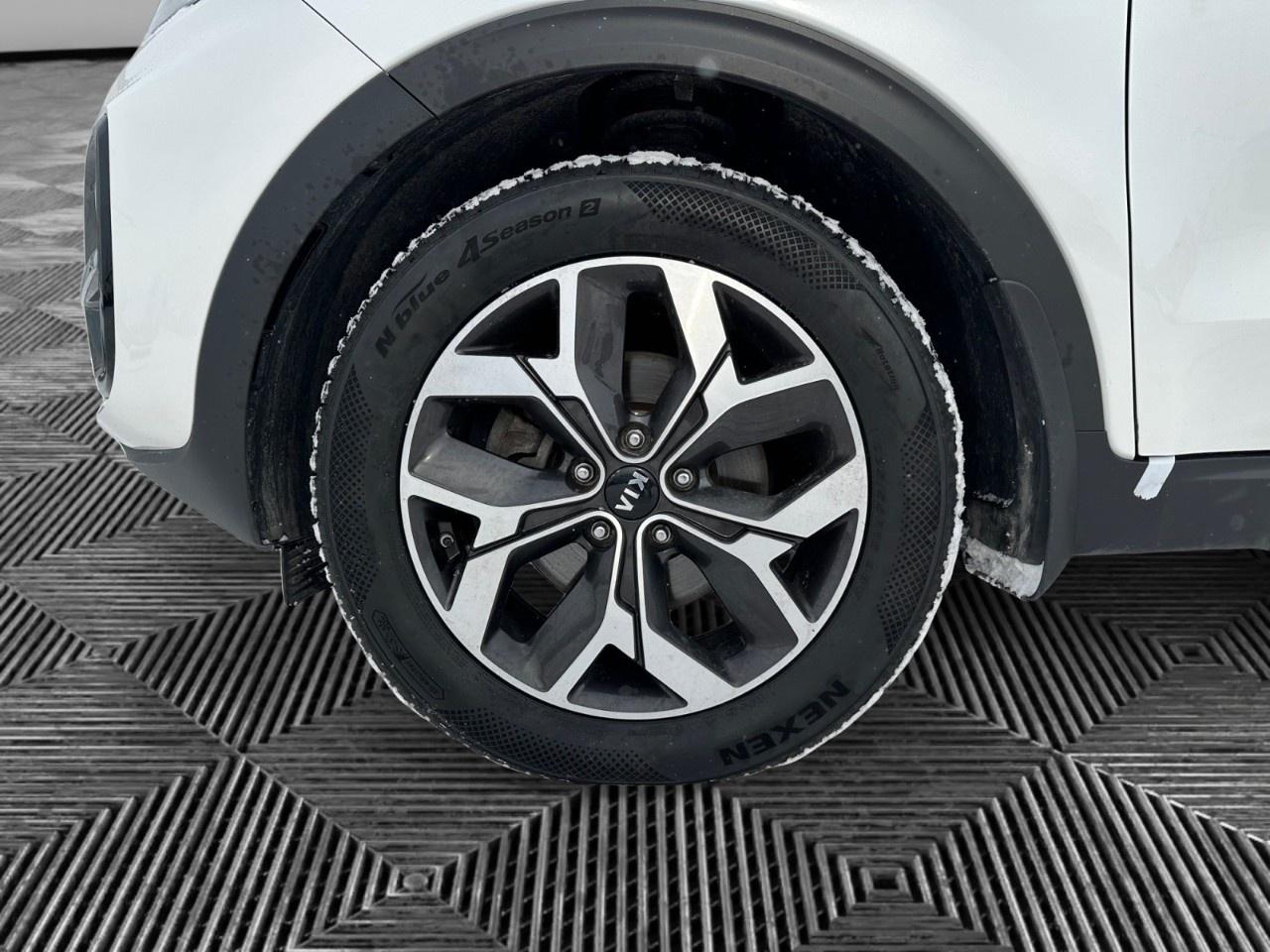 2020 Kia Sportage EX AWD Photo