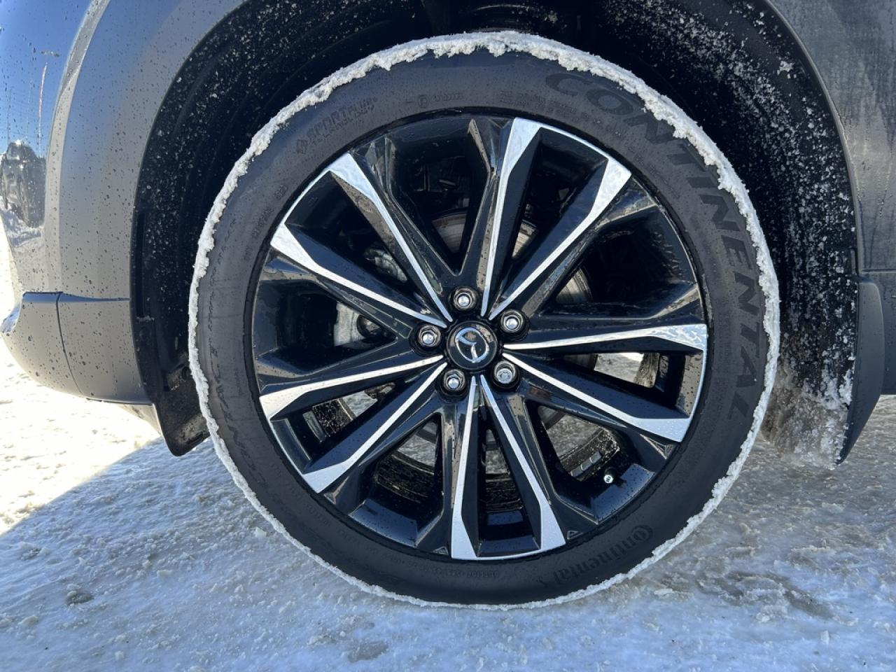 2024 Mazda CX-50 GT Turbo  -  Sunroof -  Cooled Seats Photo