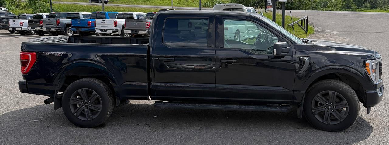 2021 Ford F-150 XLT Photo