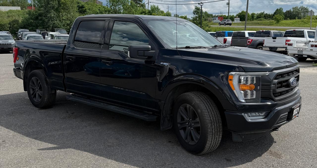 2021 Ford F-150 XLT Photo