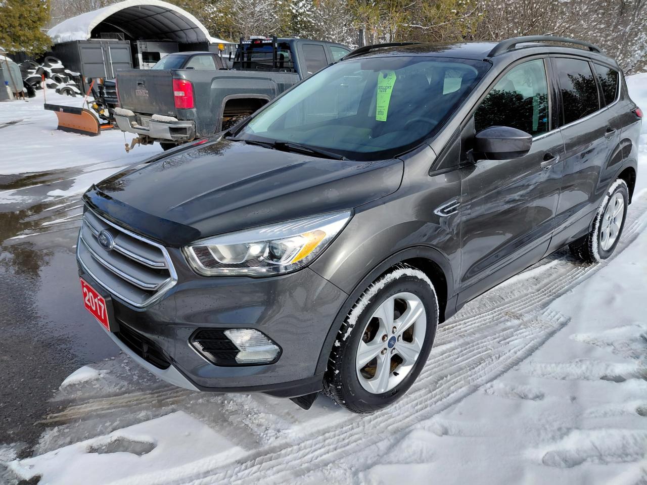 2017 Ford Escape SE Photo