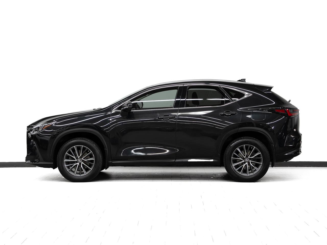 2022 Lexus NX 250 AWD | Leather | BSM | ACC | CarPlay Photo