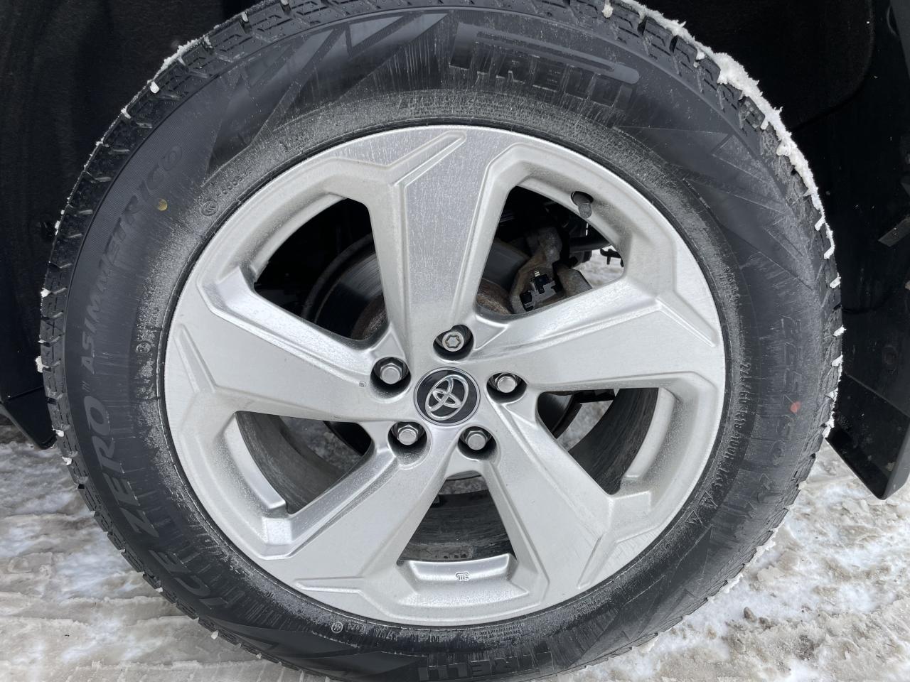 2019 Toyota RAV4 Hybrid Limited Photo