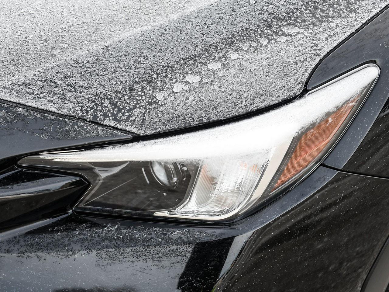 2023 Subaru WRX Manual Photo