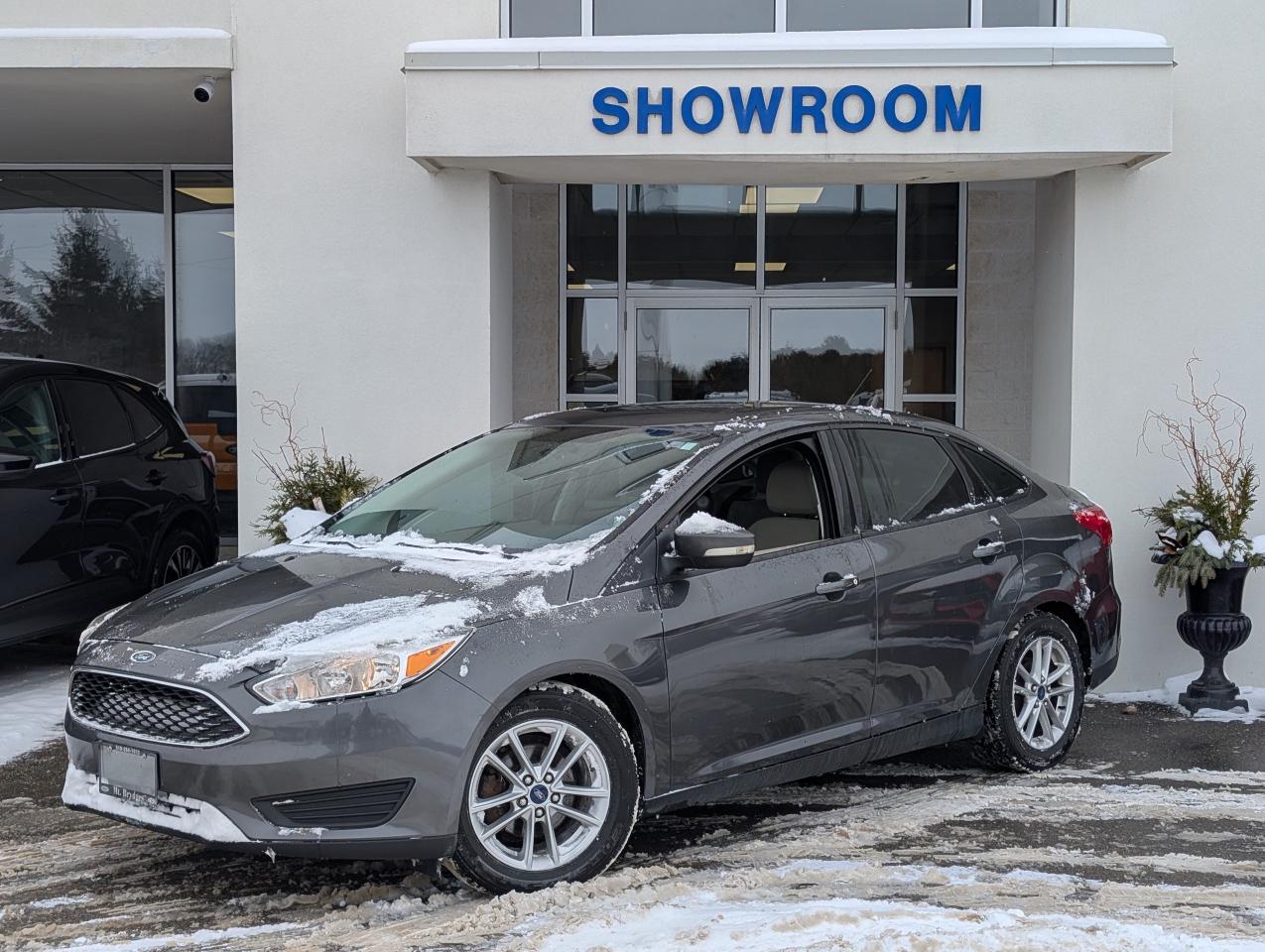 2016 Ford Focus SE Photo0