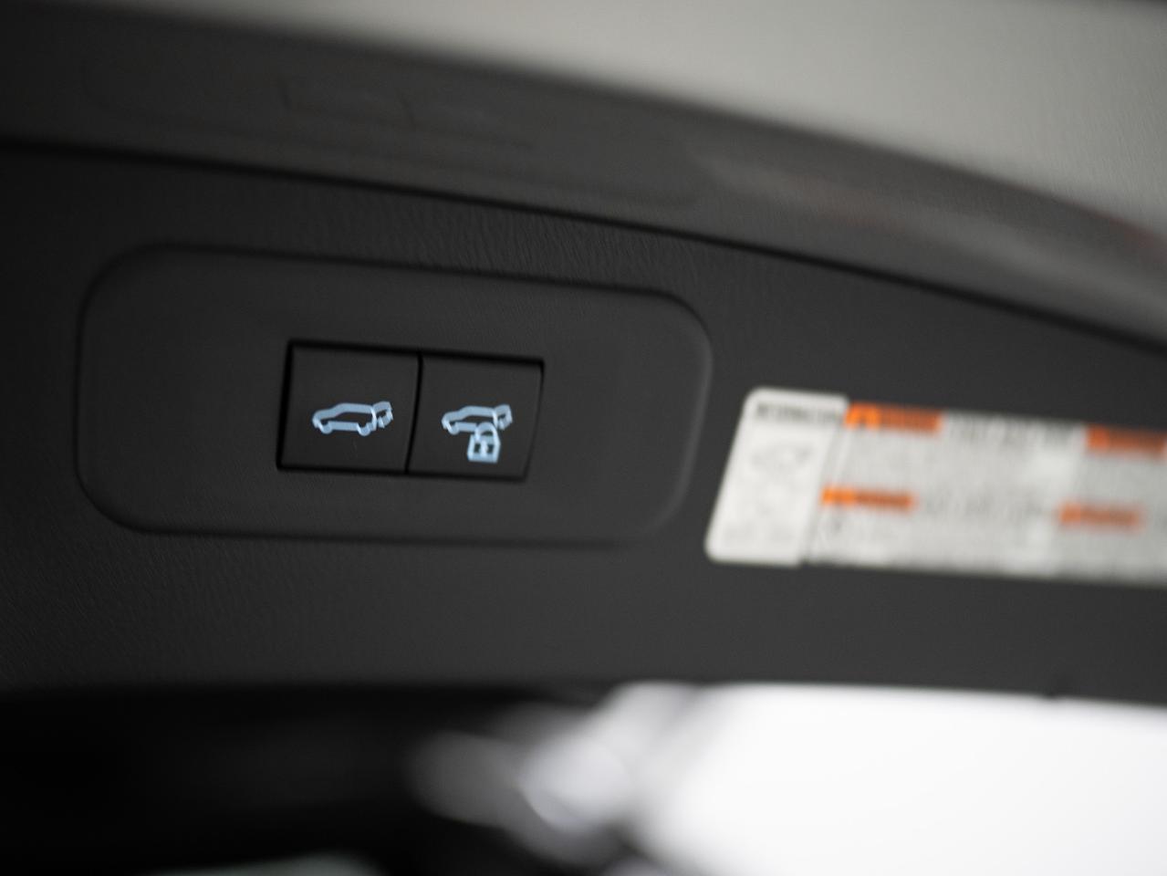 2022 Lexus NX 350 | F-SPORT | RED LEATHER | 20 IN Photo