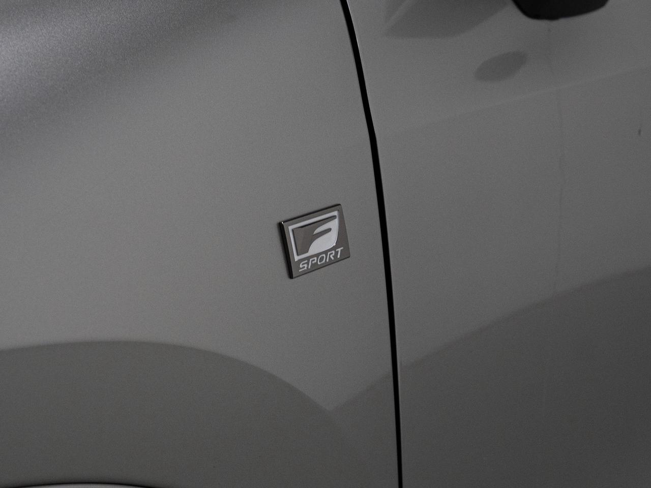 2022 Lexus NX 350 | F-SPORT | RED LEATHER | 20 IN Photo