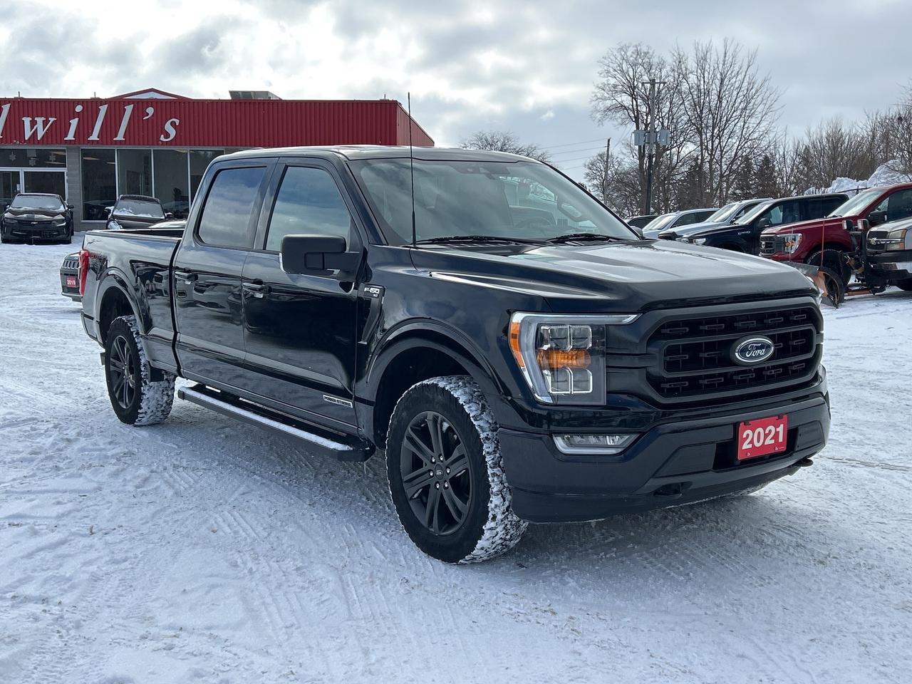 2021 Ford F-150 XLT FX4, DIESEL, 3 LITER POWERSTROKE, REMOTE START - Photo #8