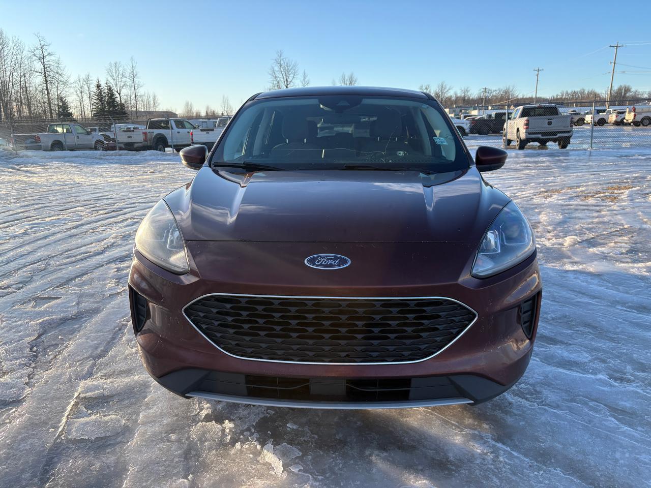 2021 Ford Escape SE Photo1