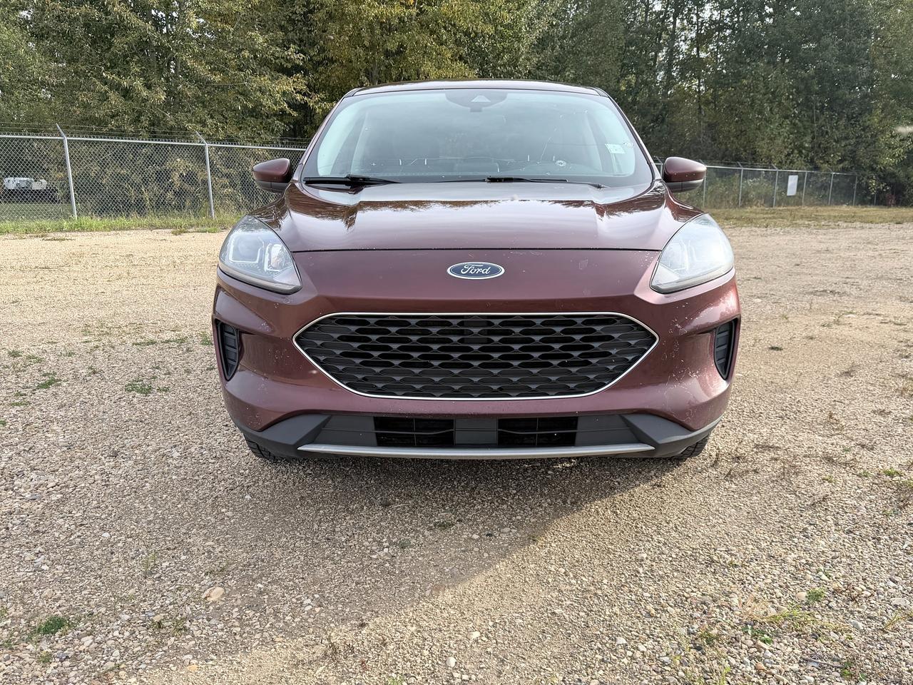 2021 Ford Escape SE Photo2