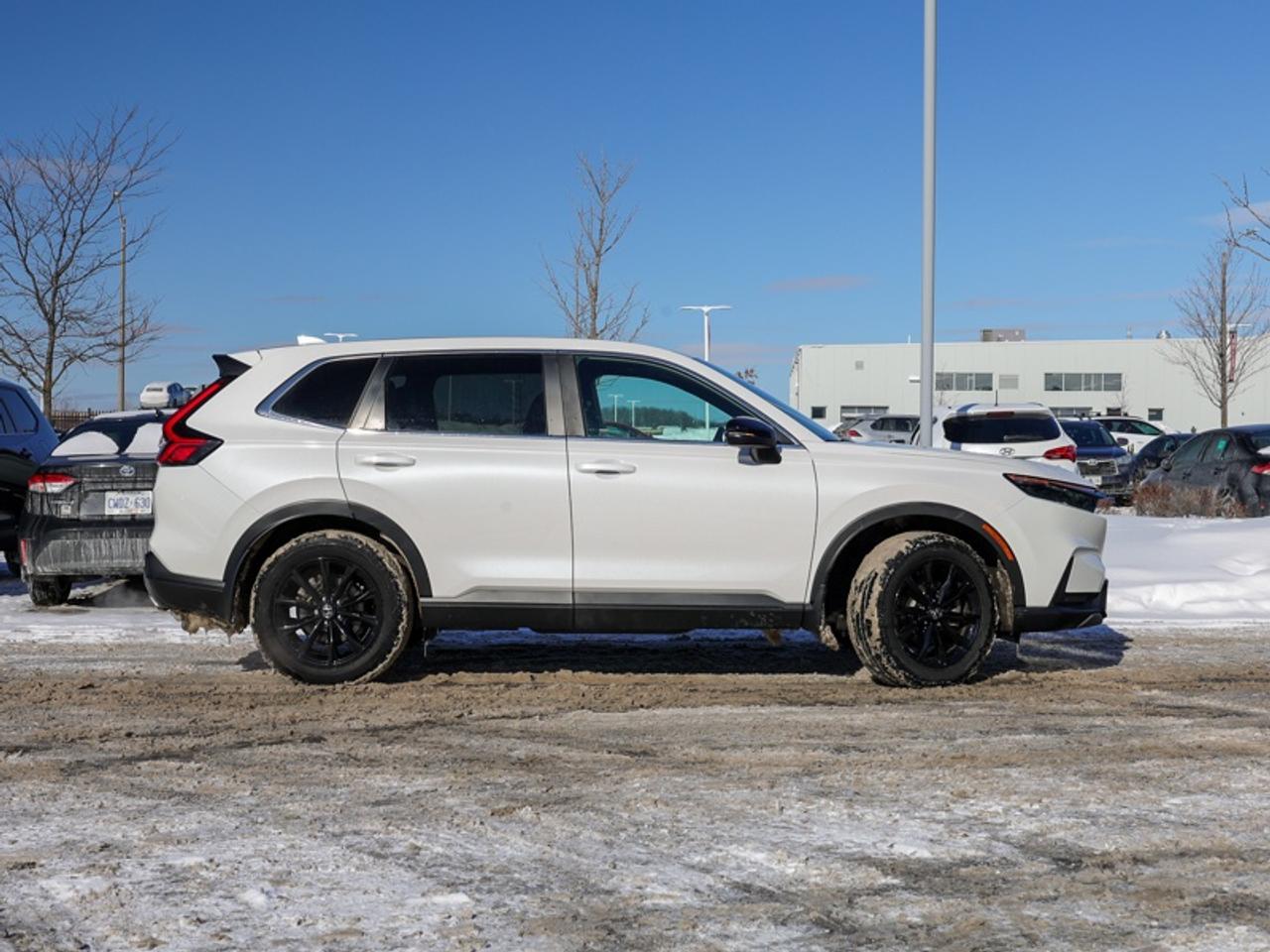 2024 Honda CR-V Hybrid EX-L  - Leather Seats -  Sunroof - $296 B/W Photo