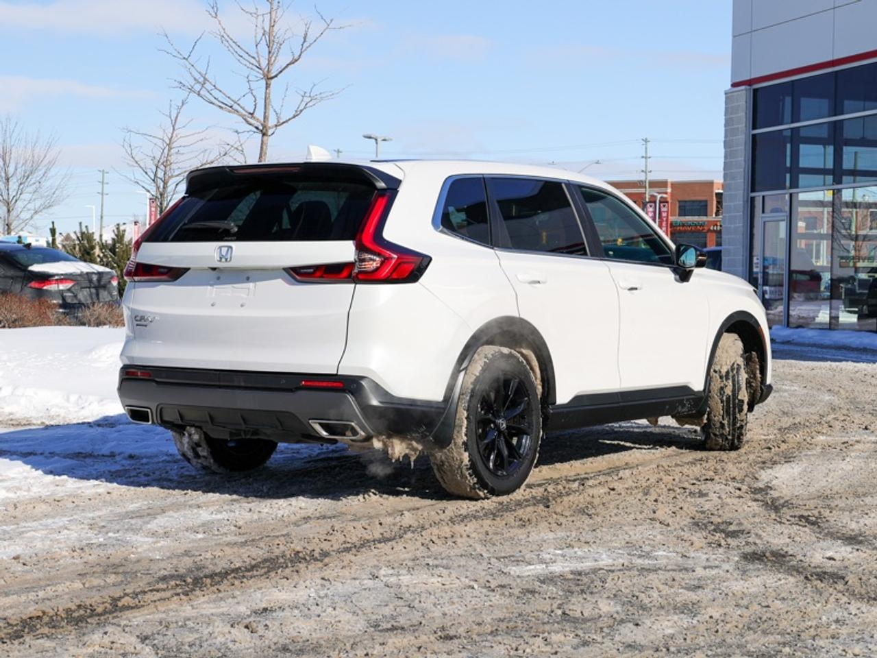 2024 Honda CR-V Hybrid EX-L  - Leather Seats -  Sunroof - $296 B/W Photo2