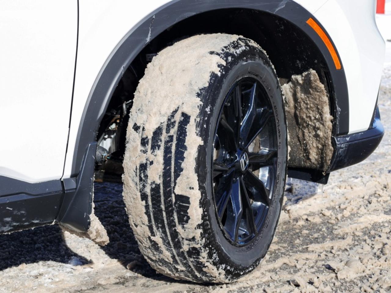 2024 Honda CR-V Hybrid EX-L  - Leather Seats -  Sunroof - $296 B/W Photo