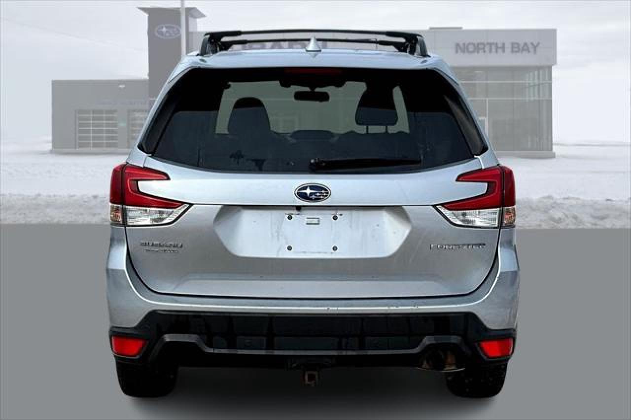 2019 Subaru Forester  Photo