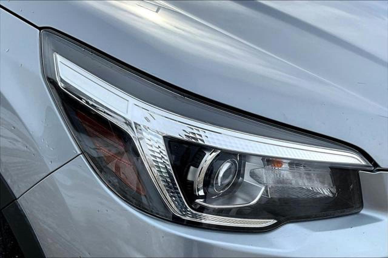 2019 Subaru Forester  Photo