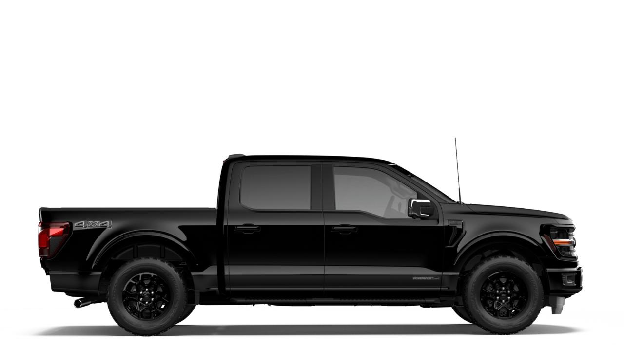 2026 Ford F-150 XLT Photo