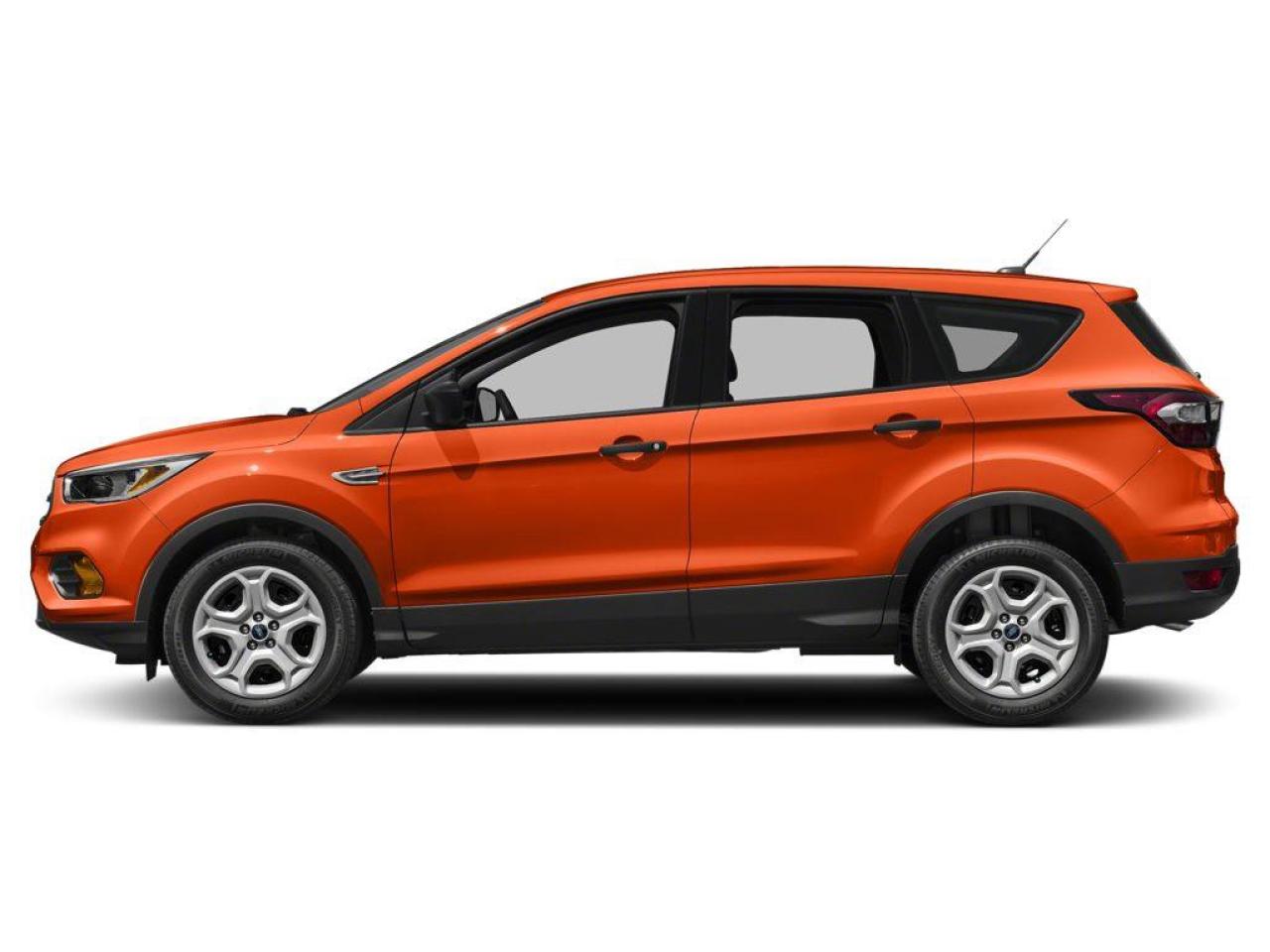 2019 Ford Escape SEL Photo