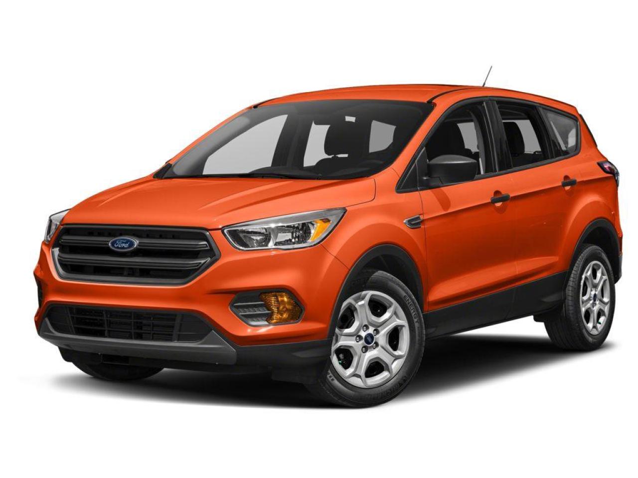 2019 Ford Escape SEL Photo