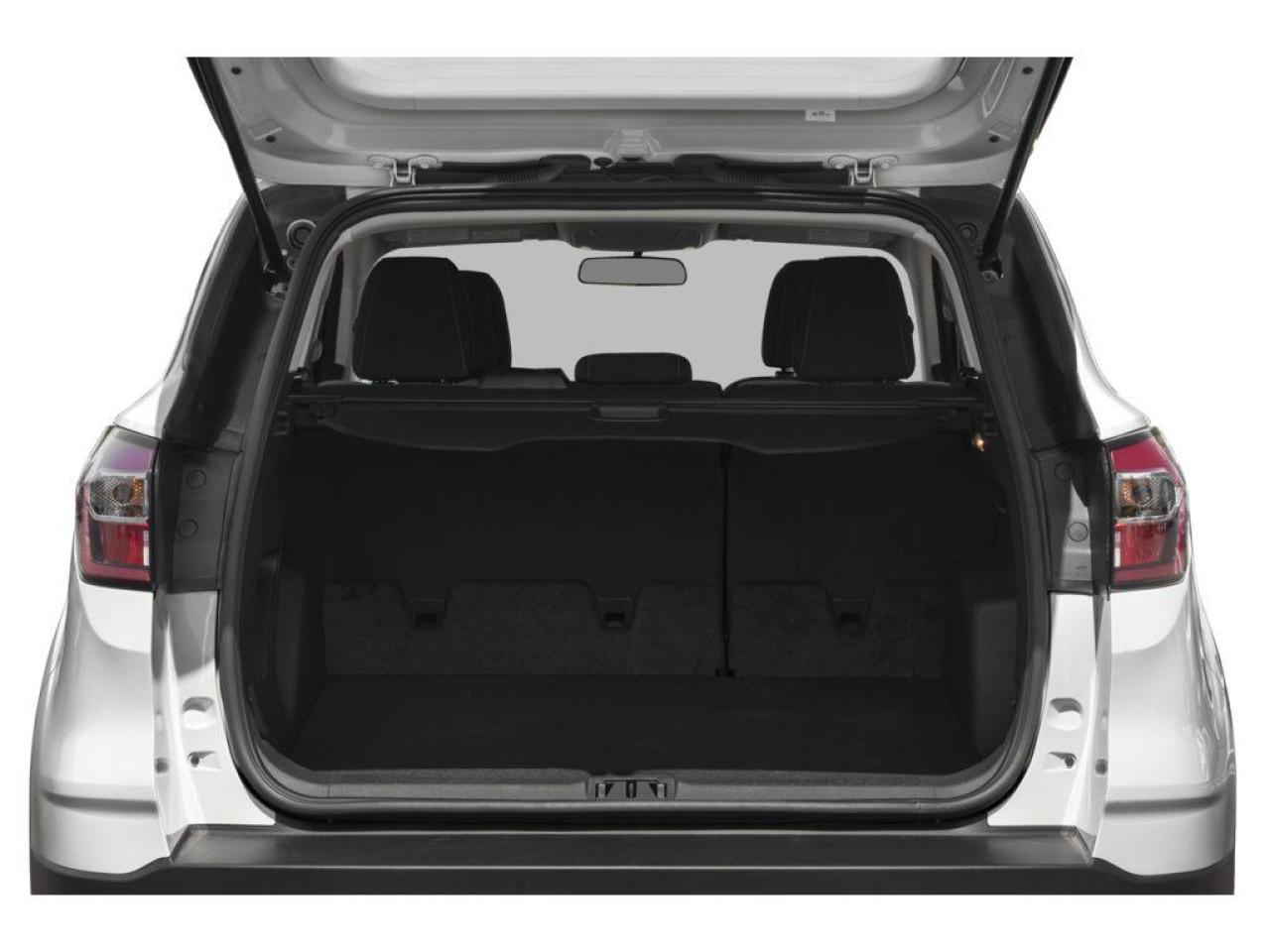 2019 Ford Escape SEL Photo