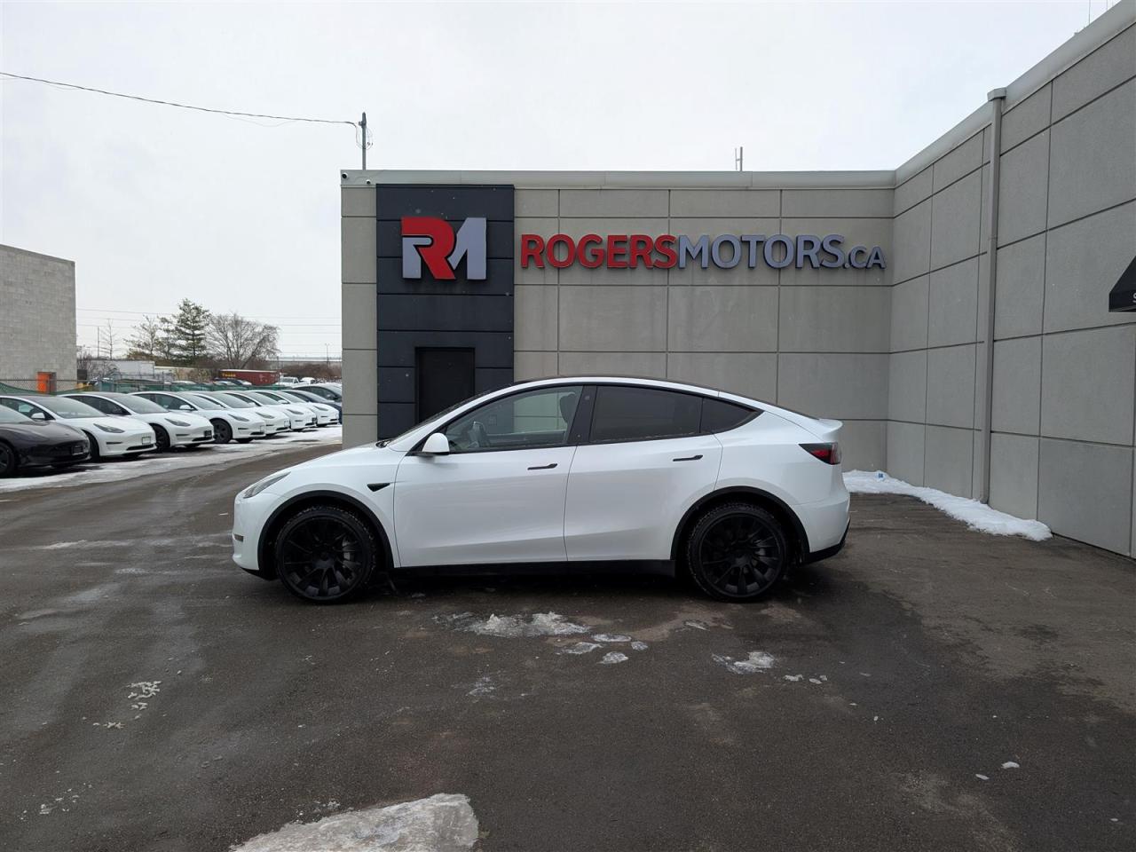 2023 Tesla Model Y LONG RANGE AWD - DUAL MOTOR Photo