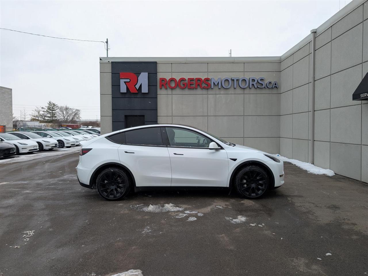 2023 Tesla Model Y LONG RANGE AWD - DUAL MOTOR Photo