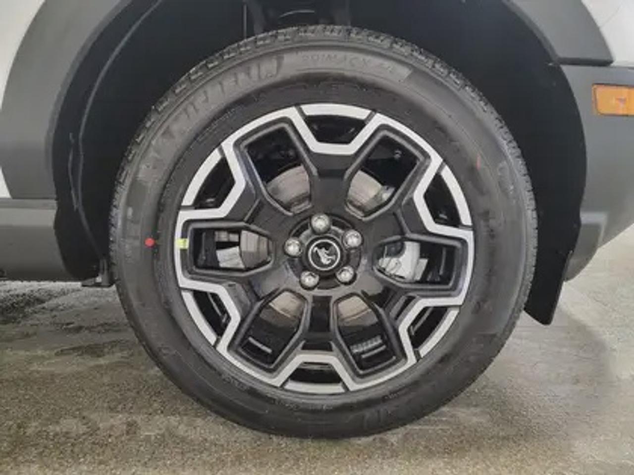 13555007