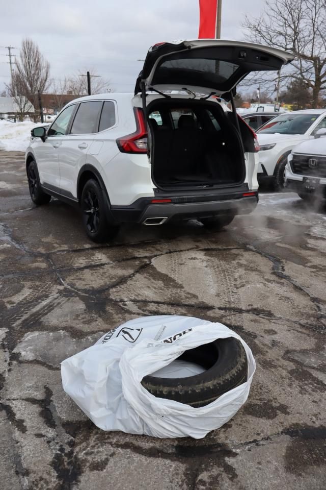 2025 Honda CR-V Hybrid EX-L 4dr All-Wheel Drive Photo