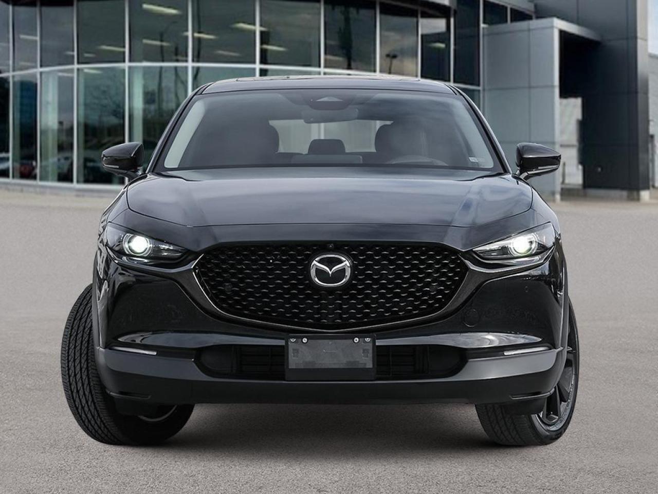 2025 Mazda CX-30 GT w/Turbo 4dr i-ACTIV All-Wheel Drive Sport Utility Photo