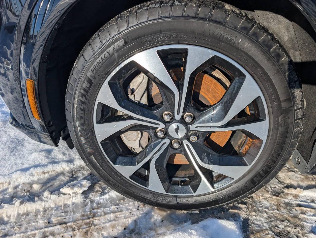 2022 Ford Mustang Mach-E Premium AWD Photo