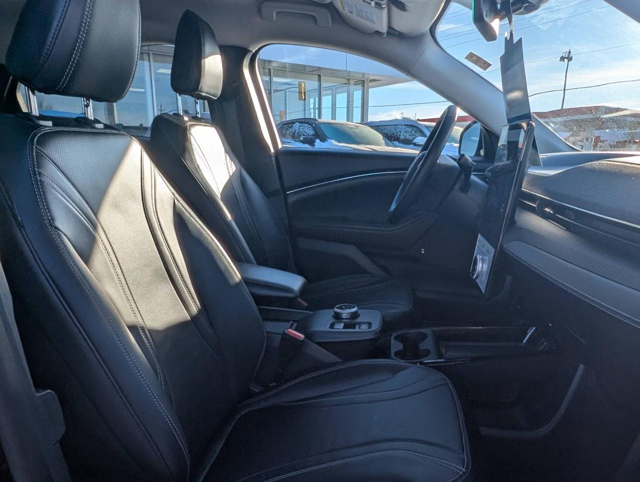 2022 Ford Mustang Mach-E Premium AWD Photo