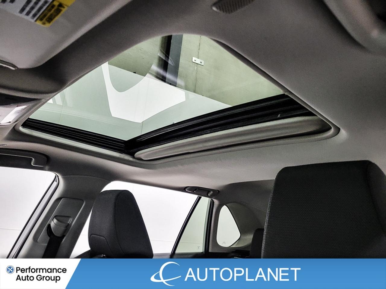 2024 Toyota RAV4 XLE AWD, Sunroof, Heated Seats,New Brakes & Tires! Photo