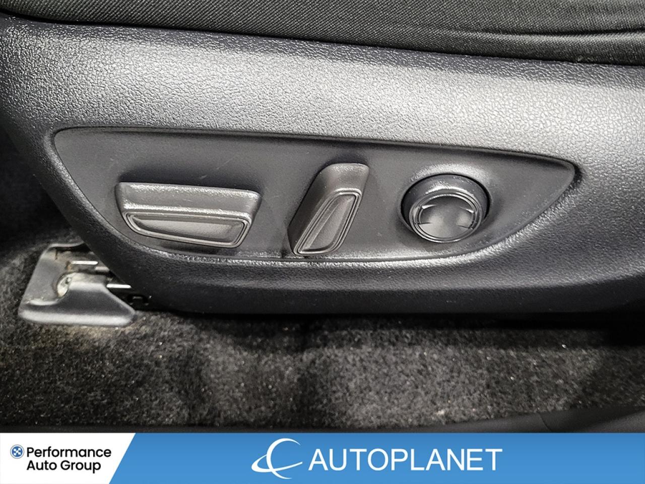 2024 Toyota RAV4 XLE AWD, Sunroof, Heated Seats,New Brakes & Tires! Photo