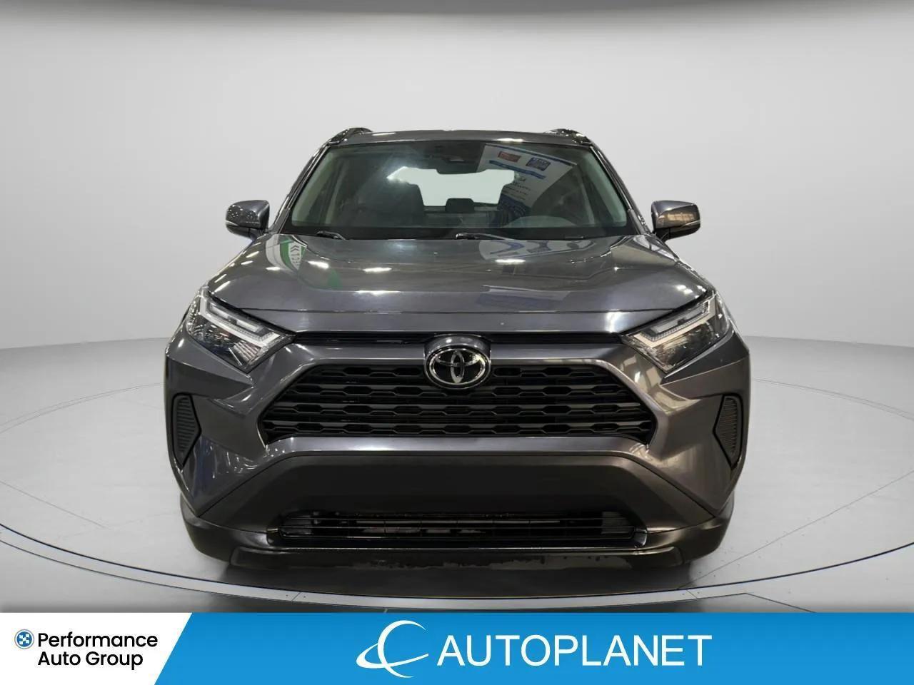 2024 Toyota RAV4 XLE AWD, Heated Seats, Sunroof, NEW BRAKES & TIRES Photo