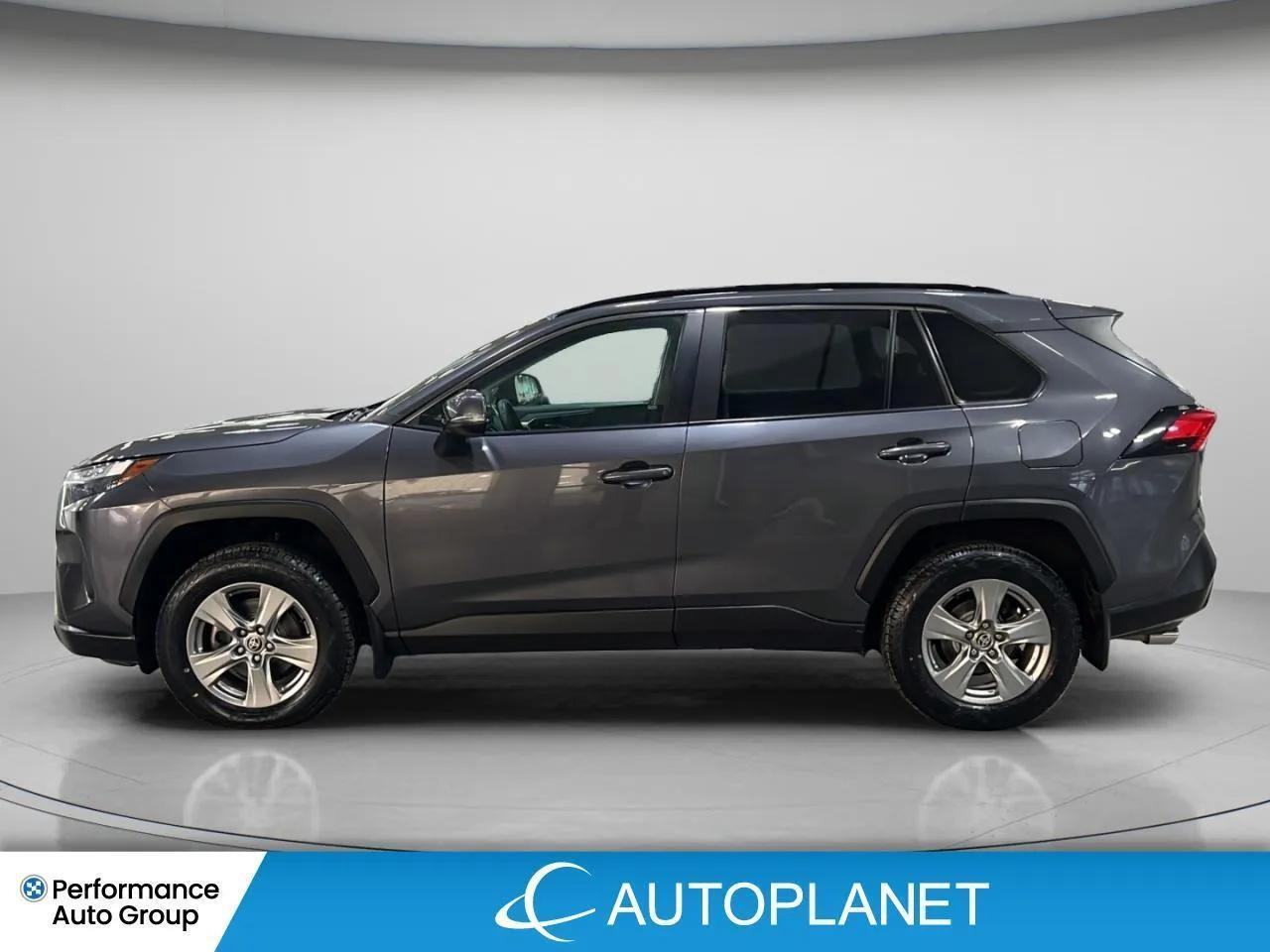 2024 Toyota RAV4 XLE AWD, Heated Seats, Sunroof, NEW BRAKES & TIRES Photo