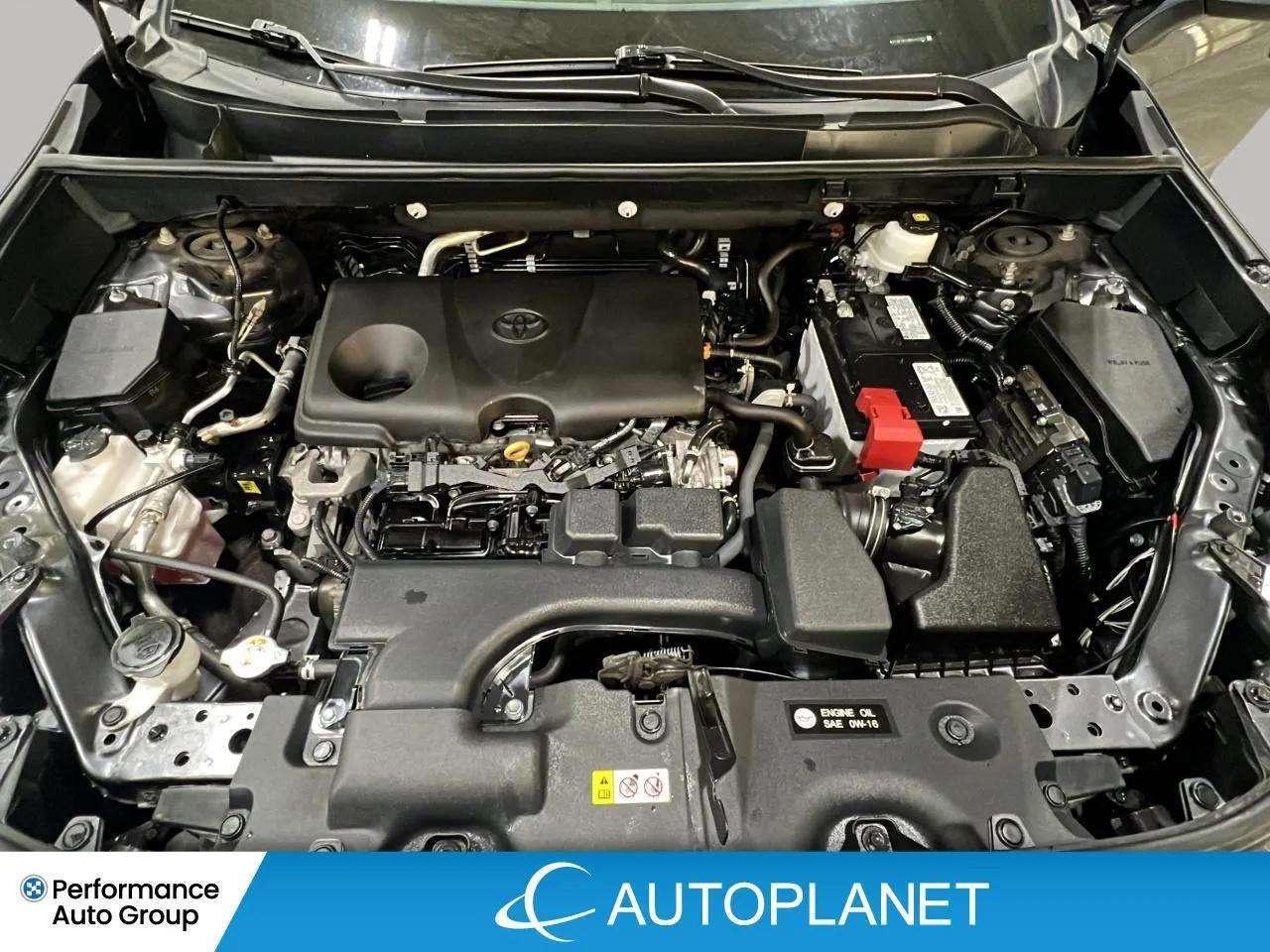 2024 Toyota RAV4 XLE AWD, Heated Seats, Sunroof, NEW BRAKES & TIRES Photo